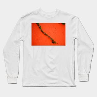 Ivy on a wall 2 Long Sleeve T-Shirt